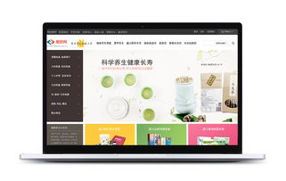 上海滬琛品牌營(yíng)銷策劃公司 網(wǎng)頁(yè)設(shè)計(jì)與網(wǎng)絡(luò)營(yíng)銷的領(lǐng)航者